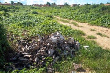 Acesso do bairro São Francisco ao Alto da Colina.