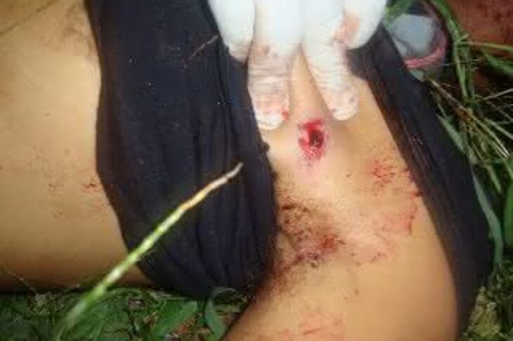 foto para divulgação