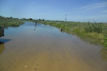 estrada Carinhanha/Pontal
