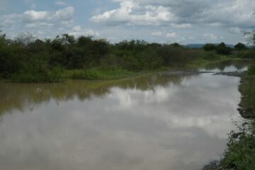 Vicinal Malhada/Canabrava