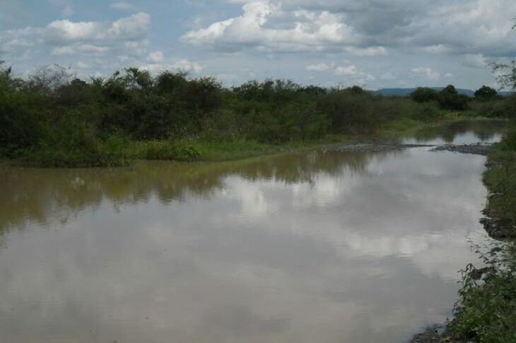 Vicinal Malhada/Canabrava