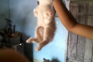 Foto para divulgação