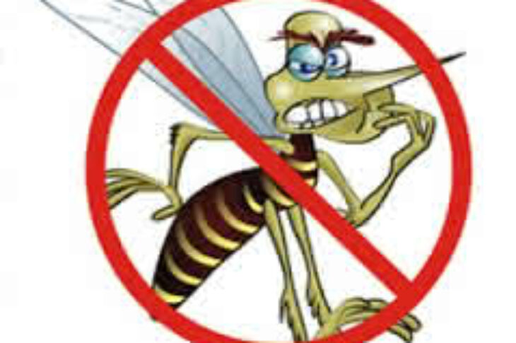 Dengue