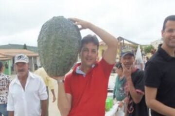 Foto para divulgação