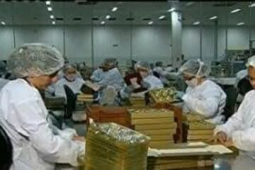 Foto para divulgação