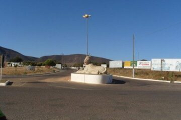 Palmas de Monte Alto