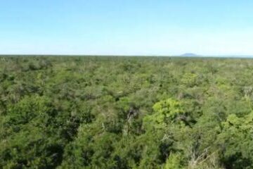 Foto: Manoel Freitas