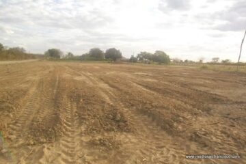 Local que será construida a creche