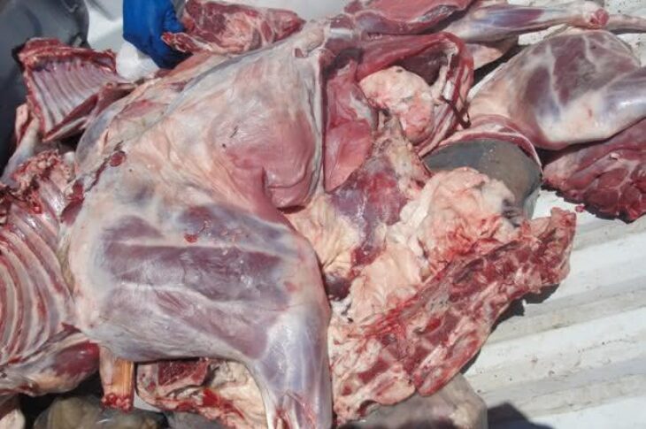 Carne