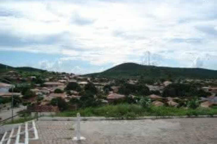 Palmas de Monte Alto