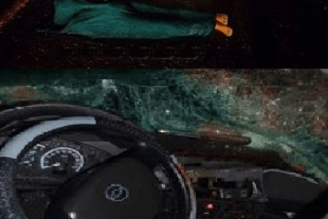 Crédito d imagem: Nova Fronteira