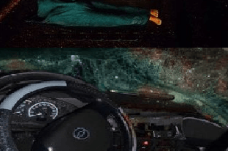 Crédito d imagem: Nova Fronteira