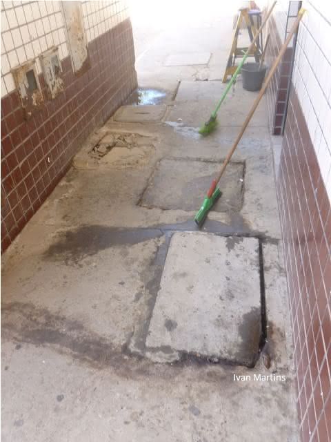 Crédito Ivan Martins