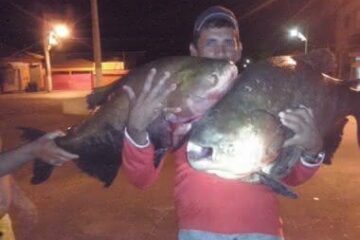 Foto: Danivaldo Lima