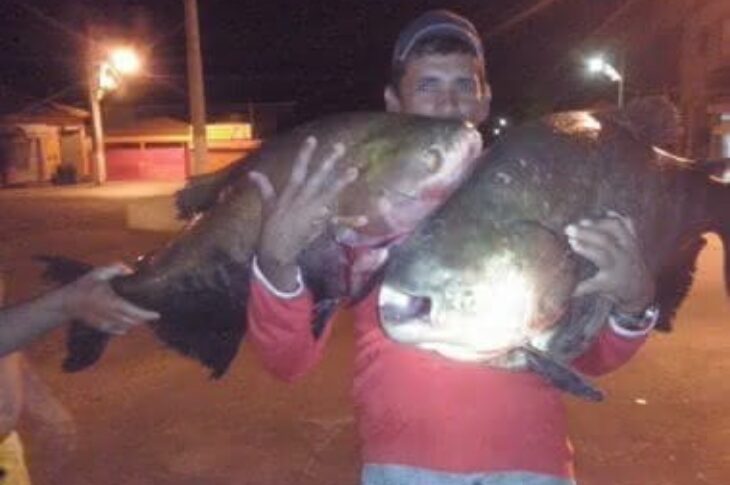 Foto: Danivaldo Lima