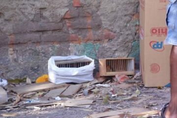 Todas as segundas-feiras na feira livre da cidade, presos em gaiolas e alçapões, periquitos, sofrês e outros animais silvestres são comercializados livremente. (Foto: Bonny Silva).