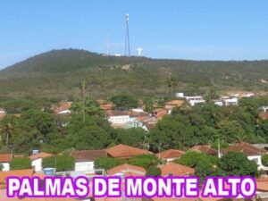 Palmas de Monte Alto