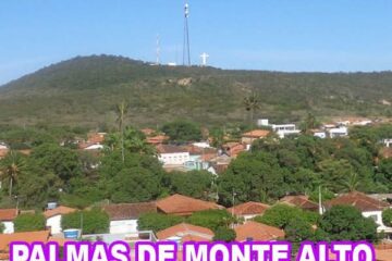 Palmas de Monte Alto