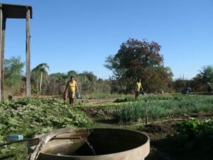Foto: site Projovem Campo – Saberes da Terra