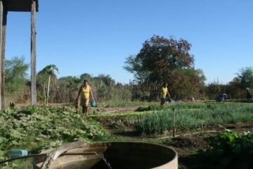 Foto: site Projovem Campo – Saberes da Terra