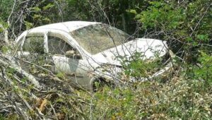 10150566_788702071142424_5227366089673455157_n