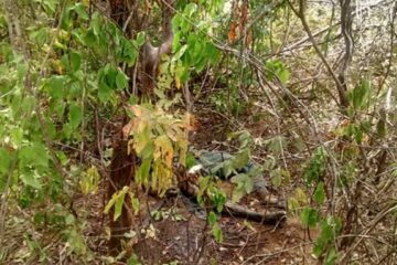 Local que encontrou o corpo