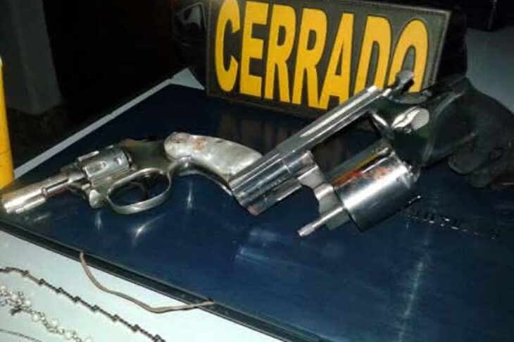 Foto Divulgação Cipe / Cerrado