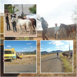 1926781_822417467792944_3716555079541079232_n