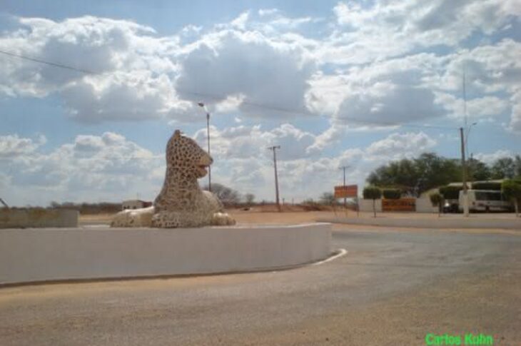 Palmas de Monte Alto