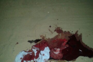 Imagem/Carinhanha Notícias