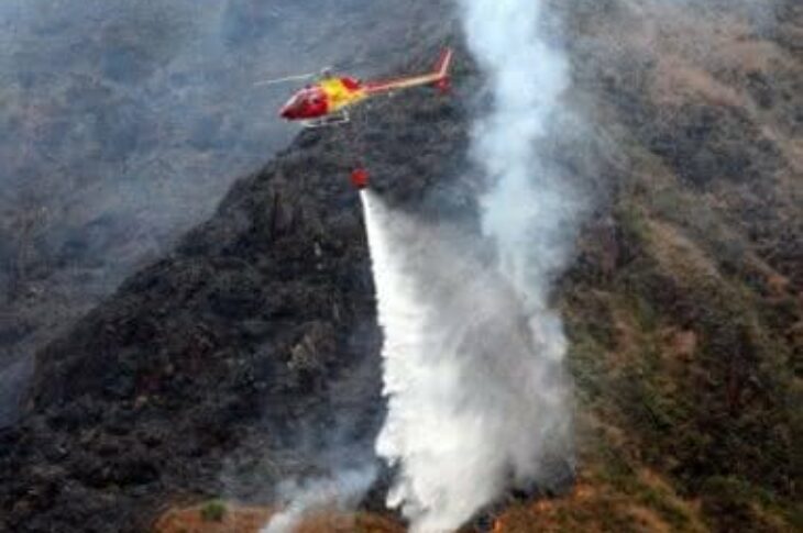 Foto: Jornal Eco
