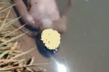 Foto Cotidiano policial