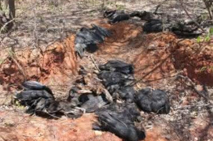 Foto: Lay Amorim / Bahia Notícias