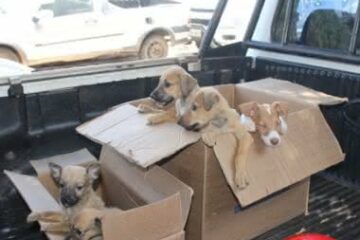 Foto: Lay Amorim / Bahia Notícias