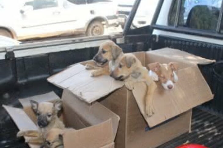 Foto: Lay Amorim / Bahia Notícias