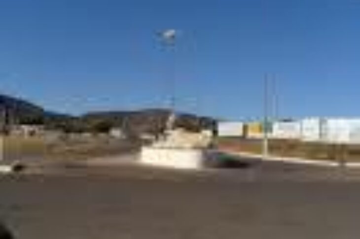 Palmas de Monte Alto