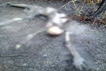 Foto: Sudoeste Bahia