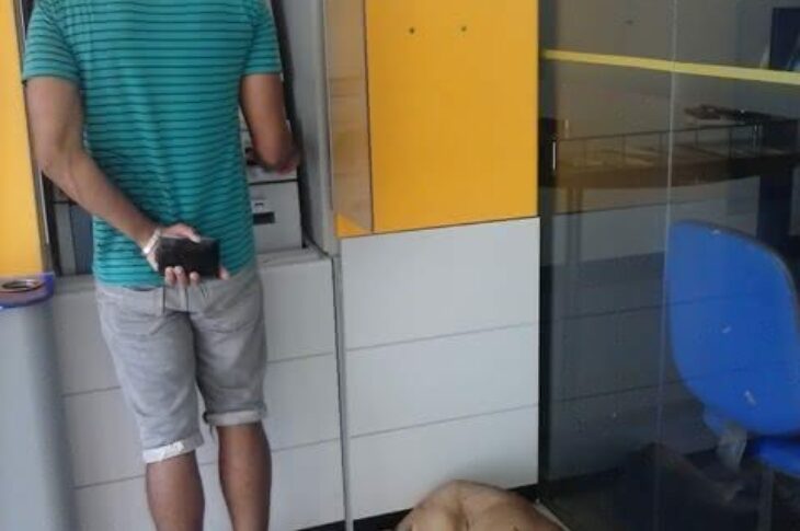 Cachorro