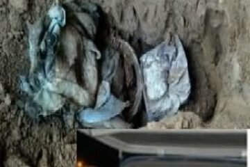 Crédito:Oeste Alerta