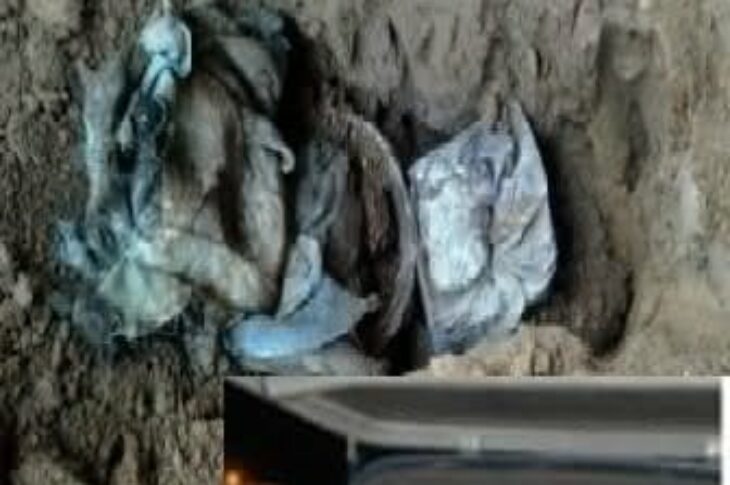 Crédito:Oeste Alerta