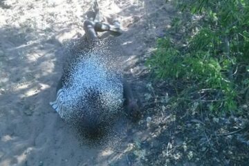 Foto: Giro de Notícias/Rádio Visão FM