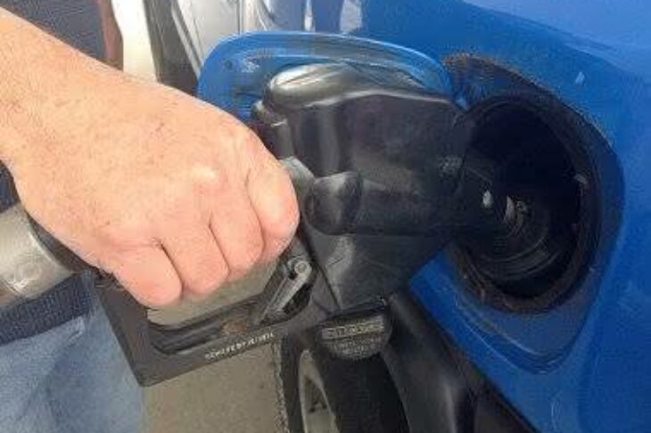 oto: Reprodução / Bold Ride