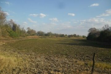 lagoa do Mocambo em Malhada
