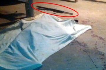 Foto: Reprodução/WhatsApp