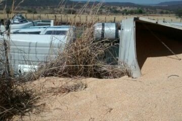 Foto: Sairon/Sudoeste Bahia