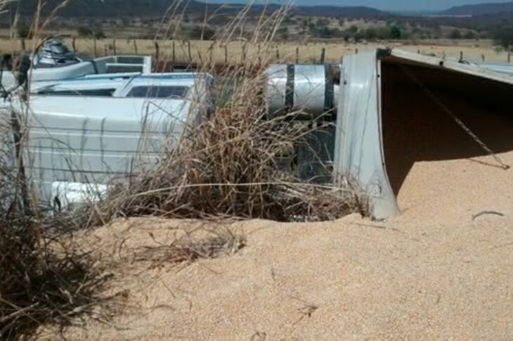 Foto: Sairon/Sudoeste Bahia