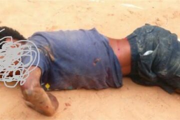 Publicado em 23/11/15 às 15:40 - Foto: Facebook/Lapa Capital