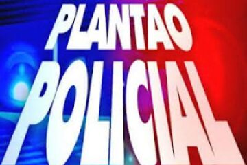 Plantão