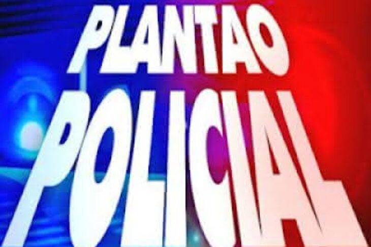 Plantão