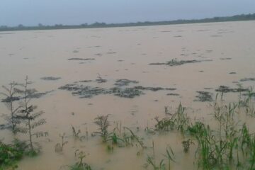 Imagem ilustrativa: Lagoa do Mocambo- Malhada.